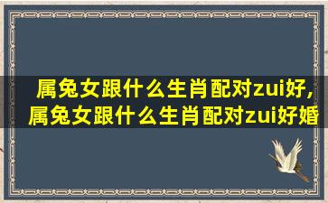 属兔女跟什么生肖配对zui
好,属兔女跟什么生肖配对zui
好婚姻 🐡